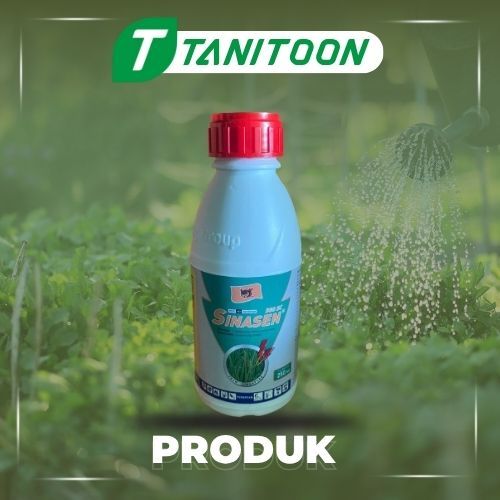 SINASEN 18/32 EC 250 ML (BUY 1, GET FREE KAOS)