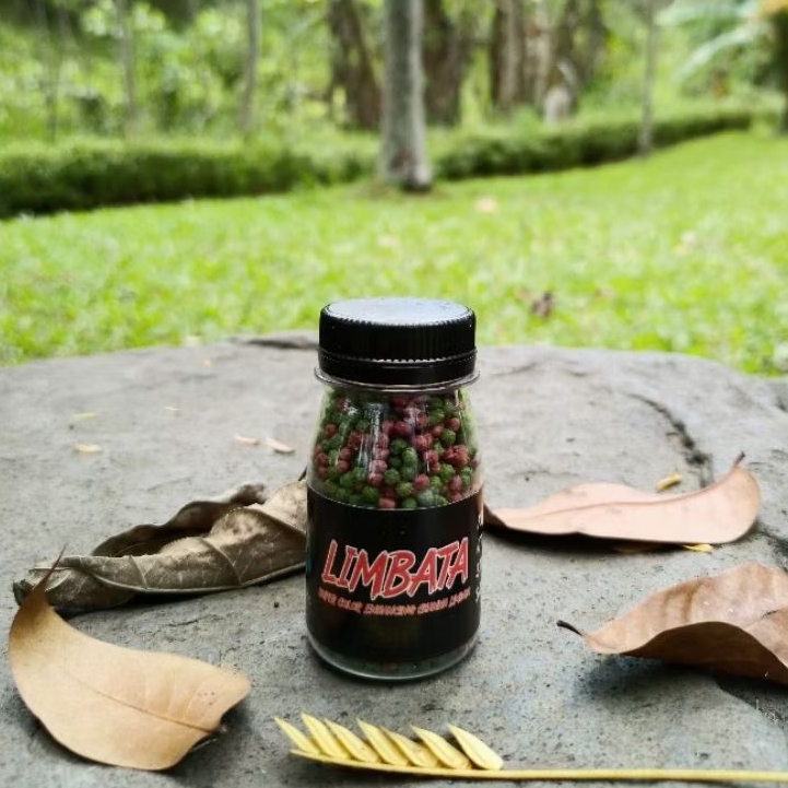 Pelet Limbata Super Color RKFish Aquatic Pakan Channa Limbata