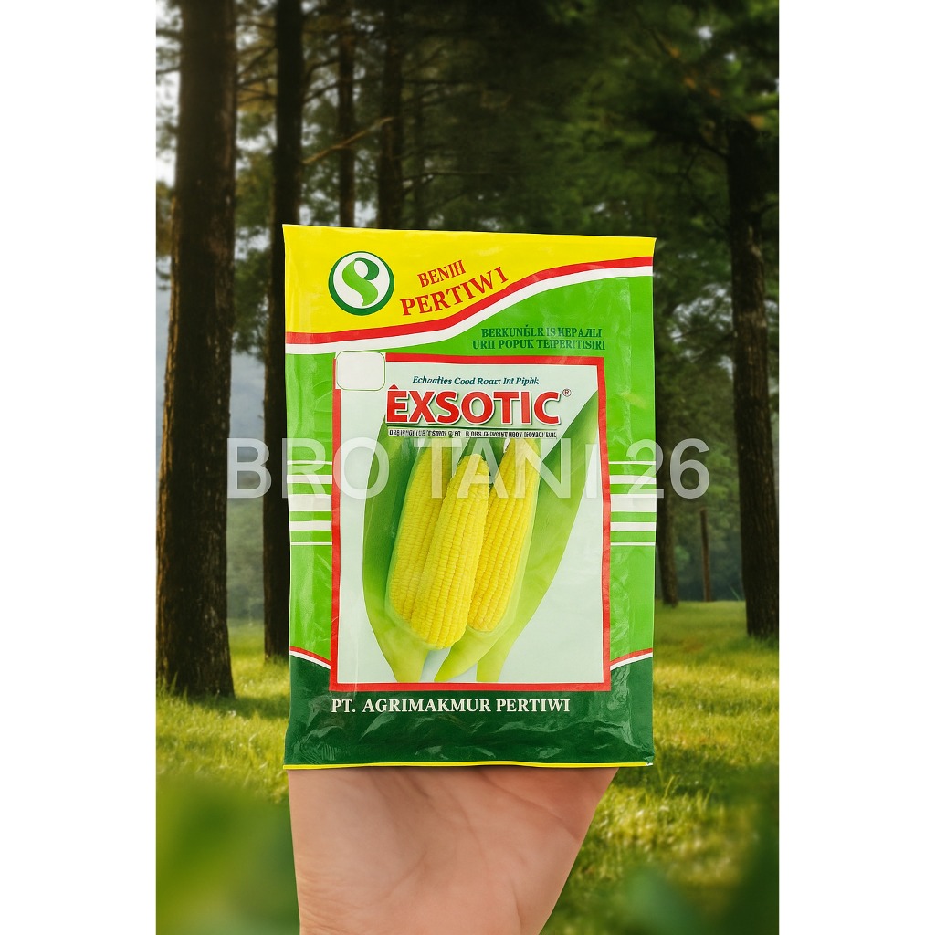 PROMO  Benih Bibit Jagung Manis Hibrida Exotic 1750 Biji