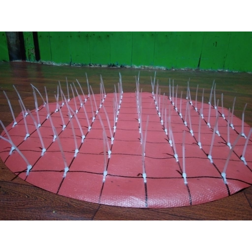 karpet murai batu lomba/ranjau murai batu/karpet duri murai batu/karpet murai