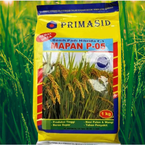 Benih PadiHibrida Mapan p-05 exp bulan 04&05 2026 Oringinal 100% daya tumbuh 80%