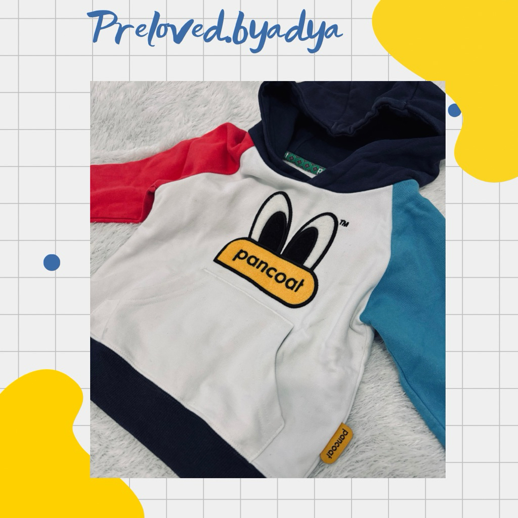 Preloved. Hoodie Pancoat anak (Toddler) 1-2y