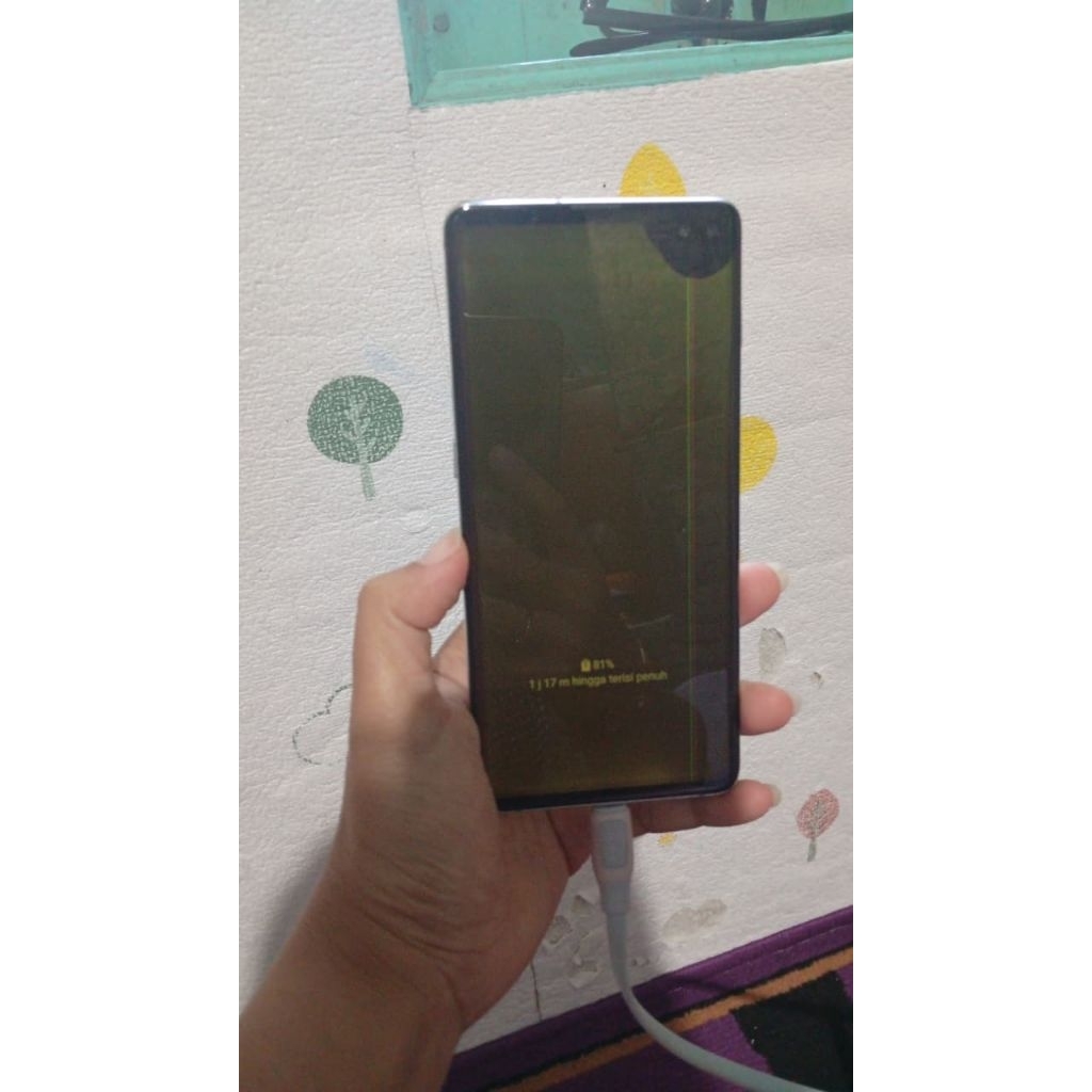 Unit Samsung S10 Plus Normal Minus LCD