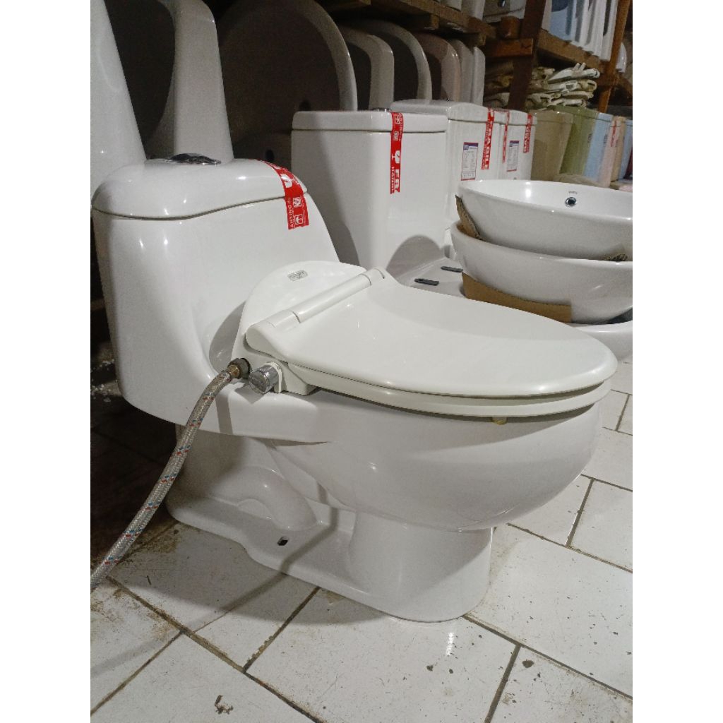 closet duduk TOTO CW894 ecowaser