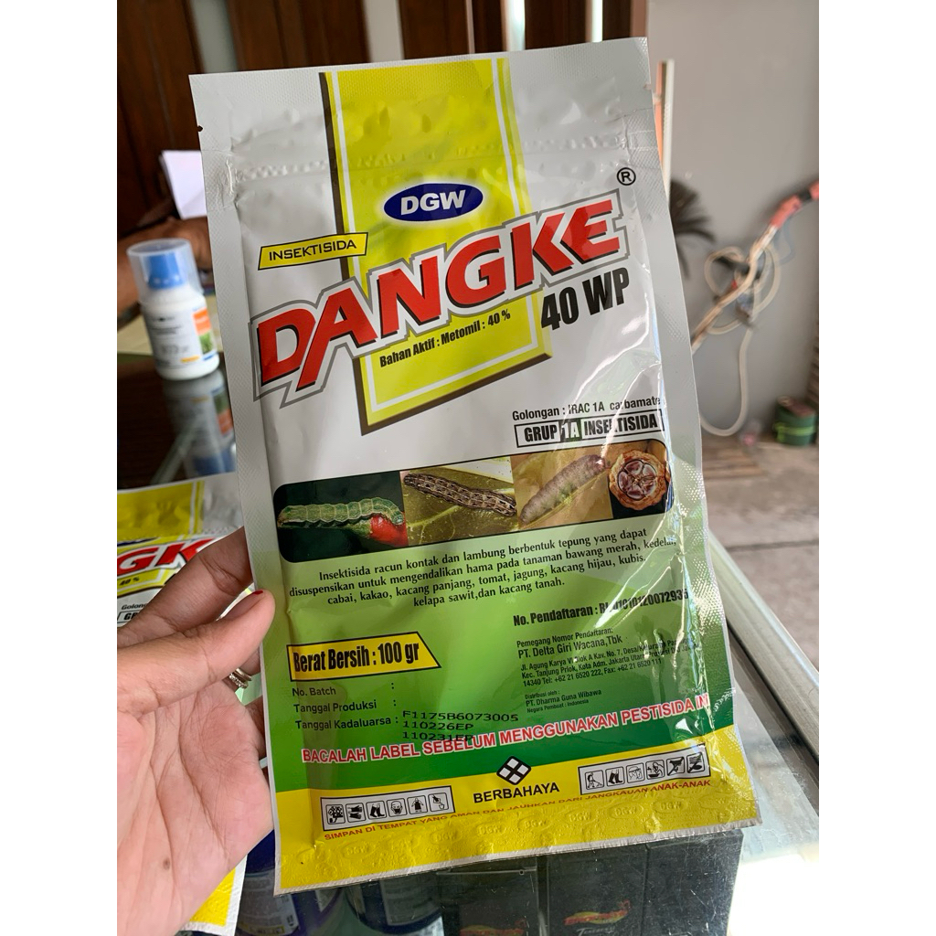Dangke