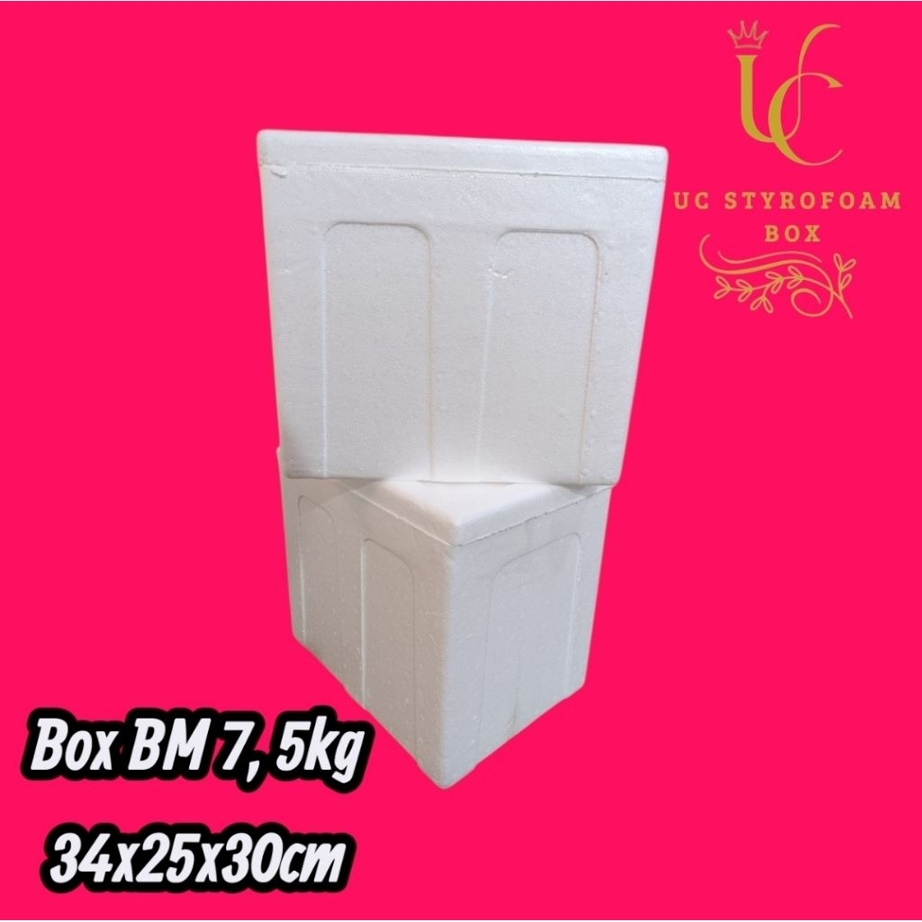 Bm Styrofoam Box/Box Styrofoam /Ice Frozen Bm Medium Uk 34*25*30Cm Co
