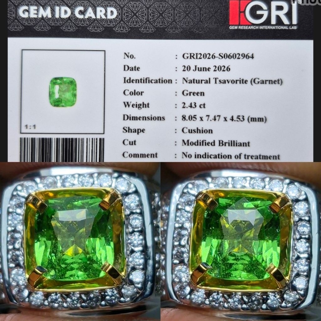 Natural Vivid Green Tsavorite 2.43 crt NoTreatment Hijau Garnet Mind Apple Green Top Kristal Ring Si