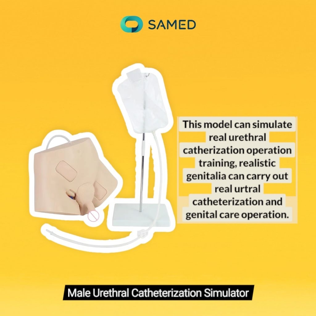Manikin Male Urethral Catheterization Simulator Guanlong / Manikin pemasangan kateter guanlong