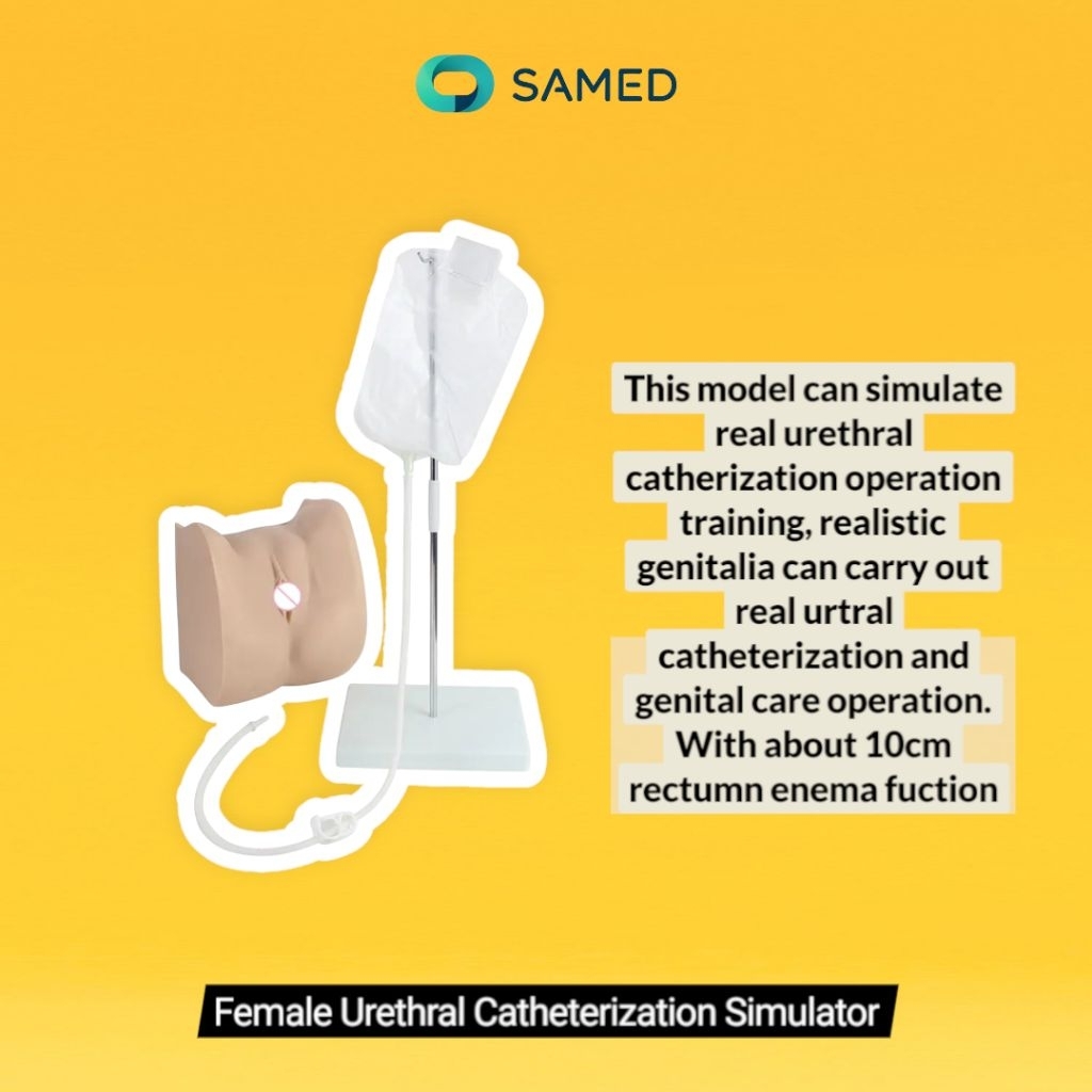 Manikin Female Urethral Catheterization Simulator Guanlong / Manikin pemasangan kateter
