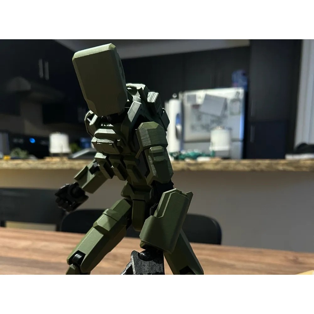 Dummy 13 Armor/Plate Carrier