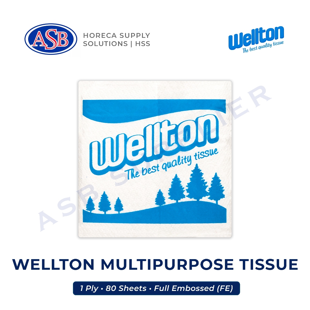 Tisu WELTON Multipurpose 80 Sheets
