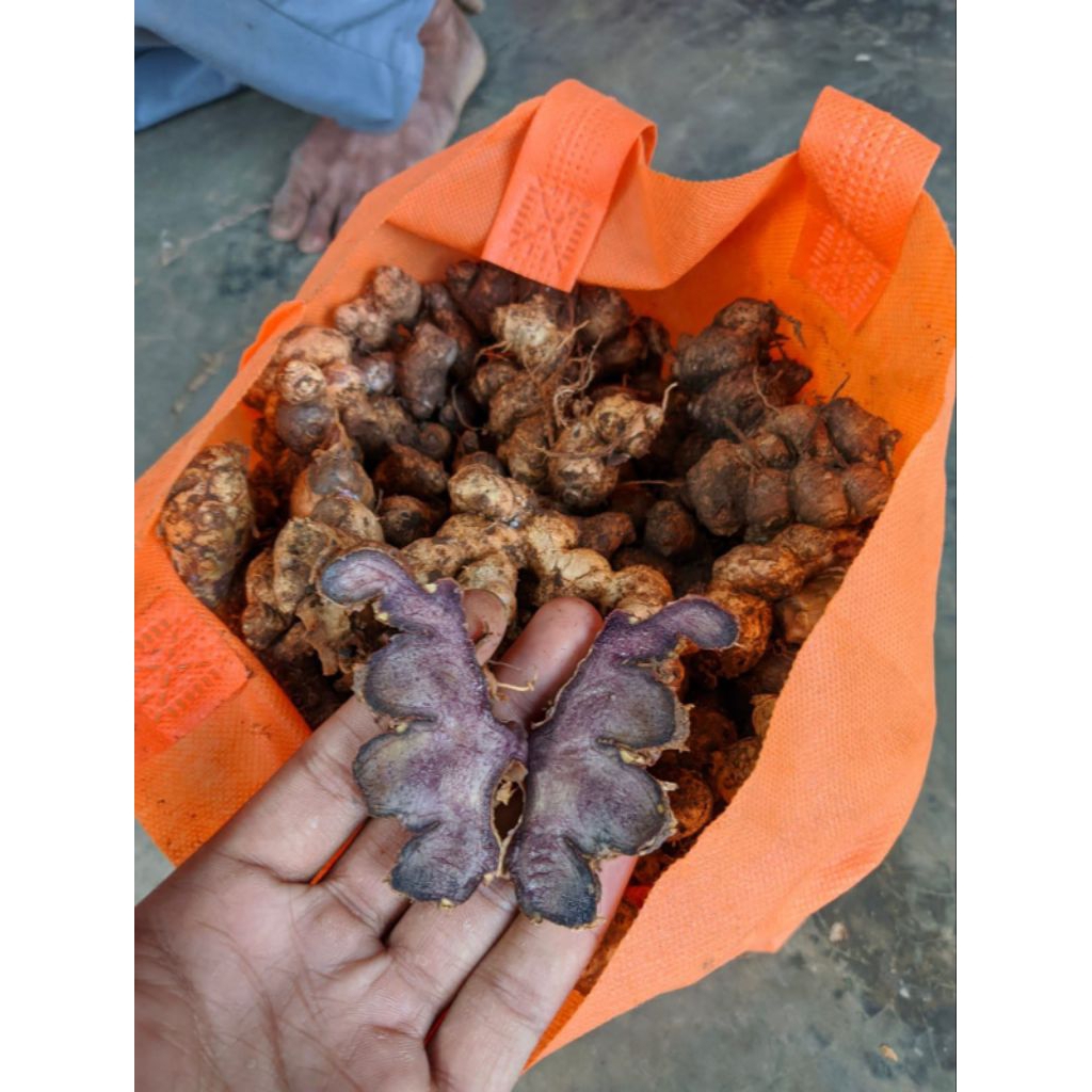 KUNYIT HITAM ASLI ORIGINAL 100% BERAT 250 GRAM
