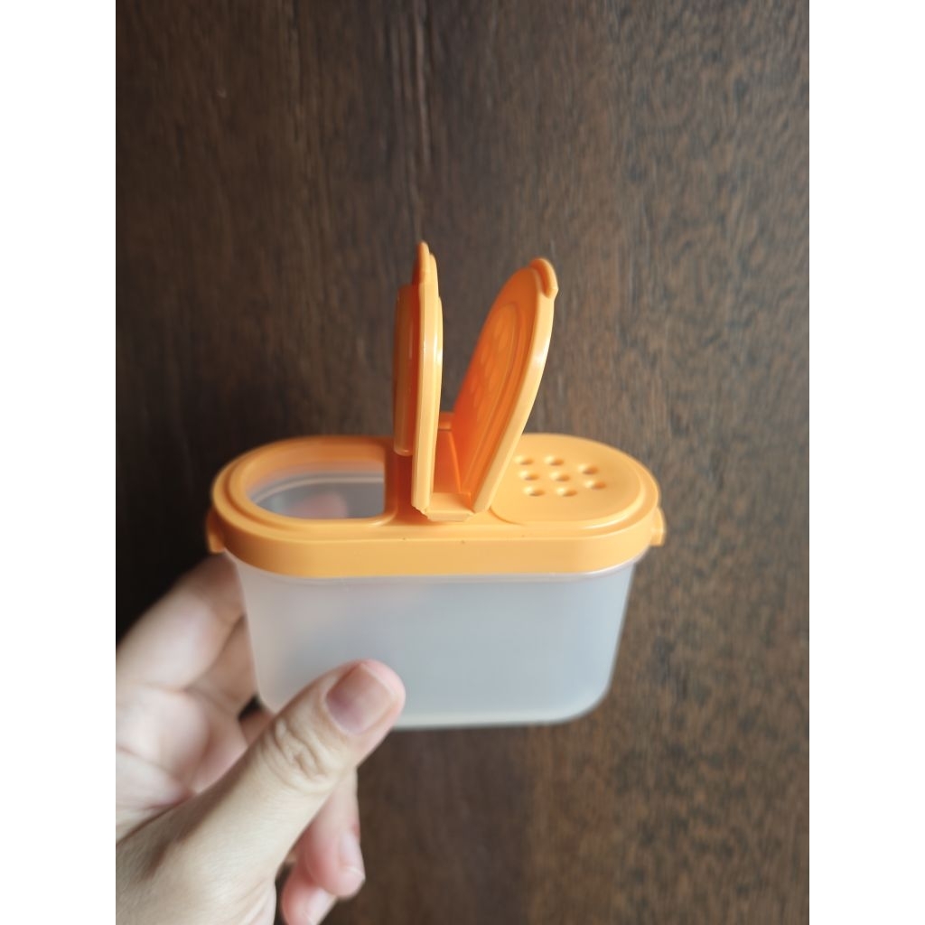 Tupperware Spice to go Orange