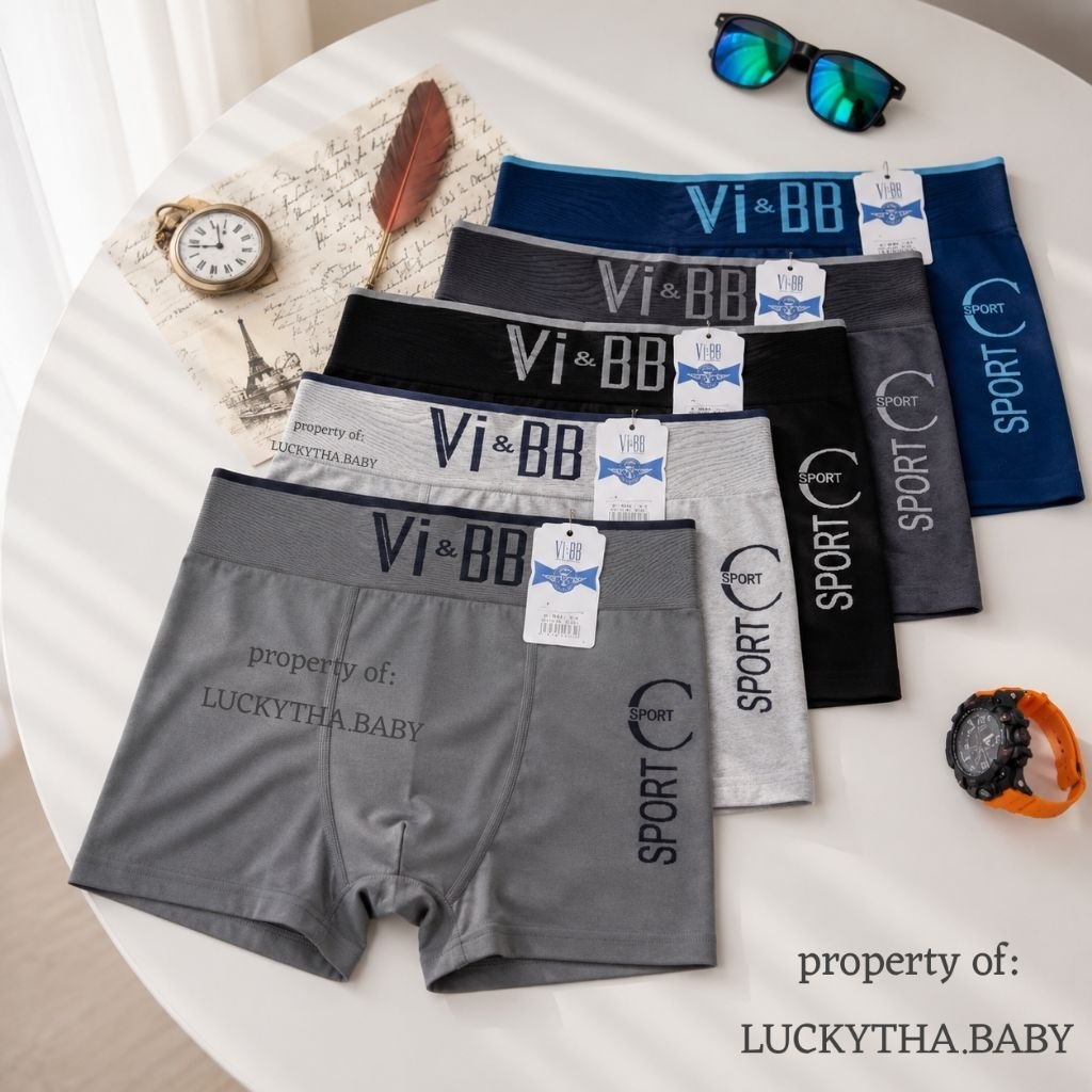 grosir 6pc- cd boxer pria Vi&bb seamless / celana dalam boxer vibb / MR DAX pria cowo keren/ CD boxe