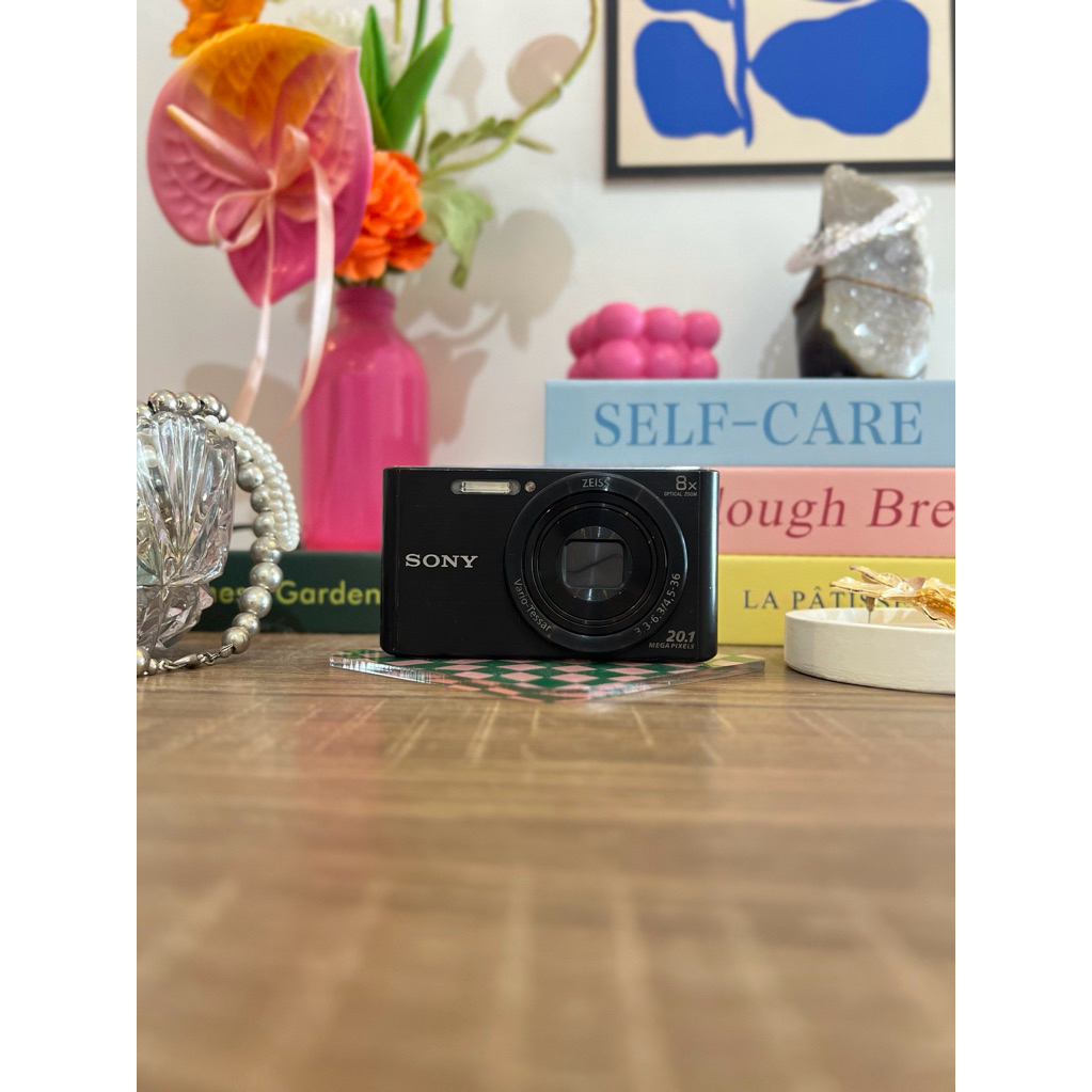 sony dsc w830