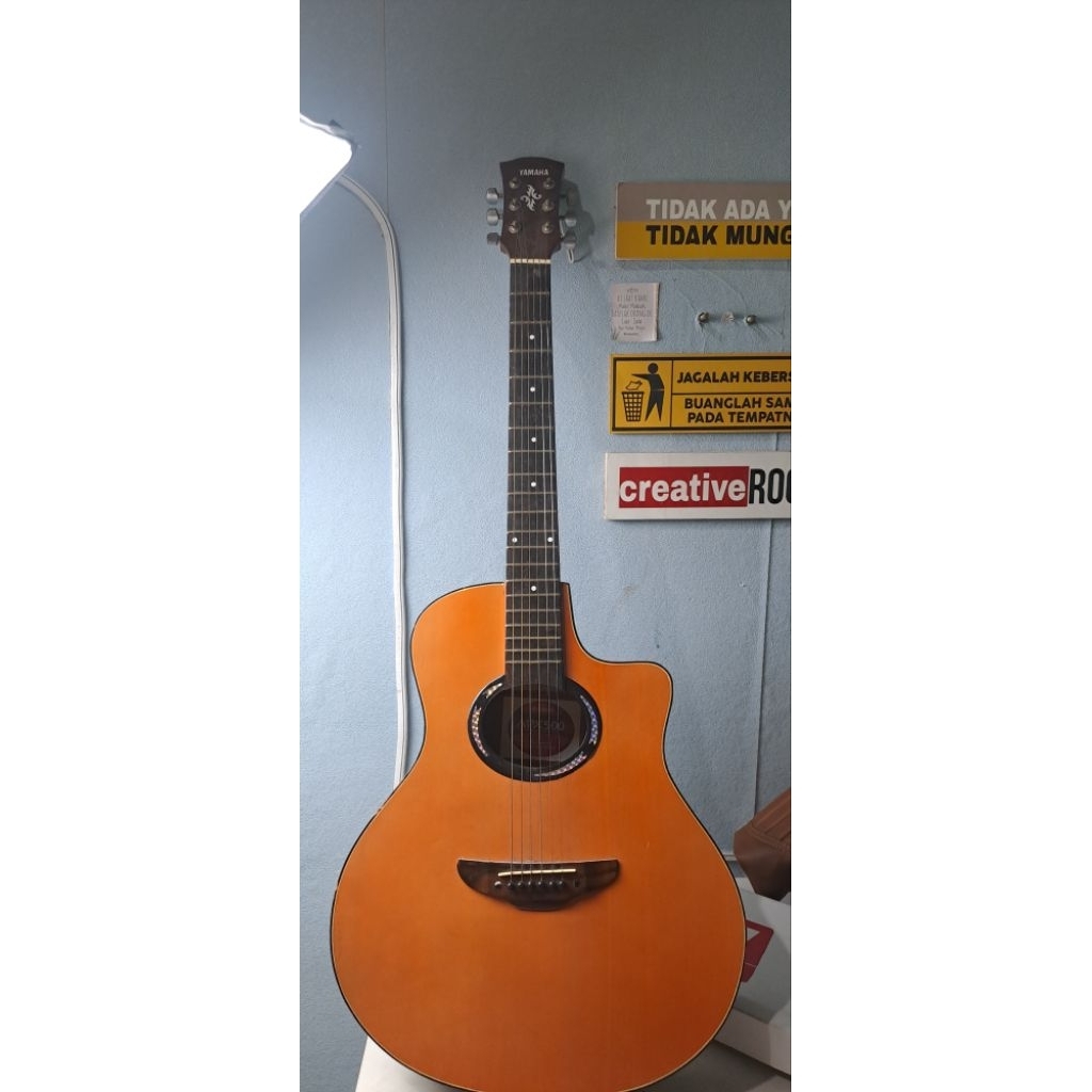 GITAR APX 500