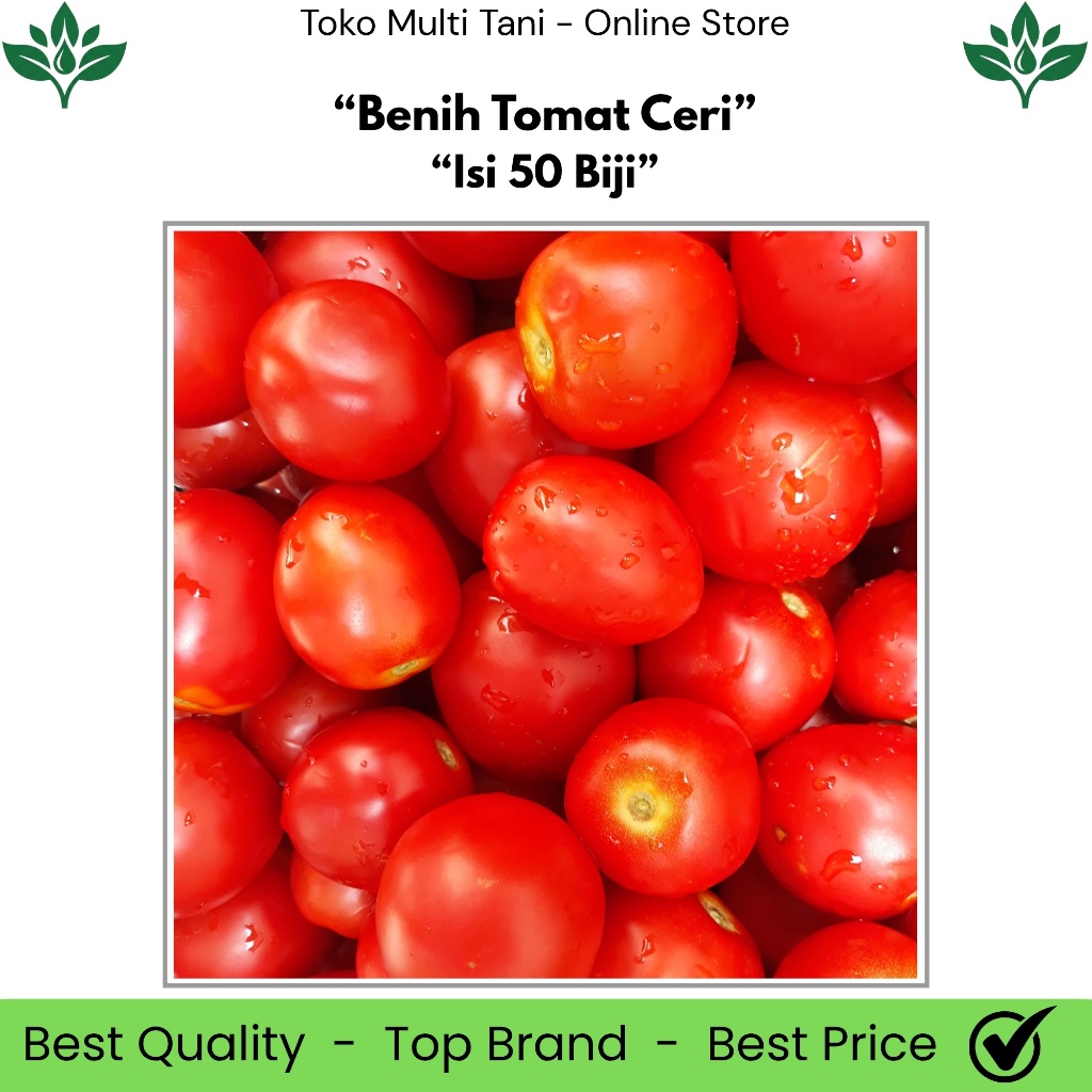 Benih Tomat Ceri Isi 50 Biji - Benih Tomat Ceri - Benih Tomat Ceri Manis - Benih Tomat Ceri F1 - Ben