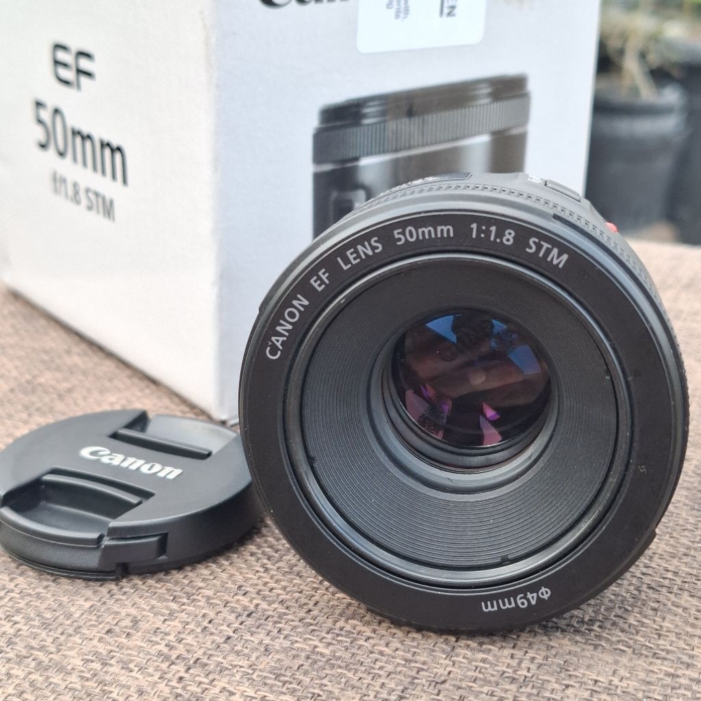 Lensa Canon EF 50mm F1.8 STM - Fix Lens Bokeh Canon EF 50mm F/1.8 STM (Second)