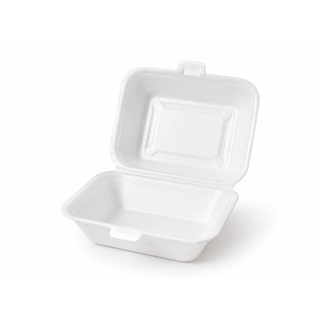 Wadah Makanan Styrofoam 100 Pcs
