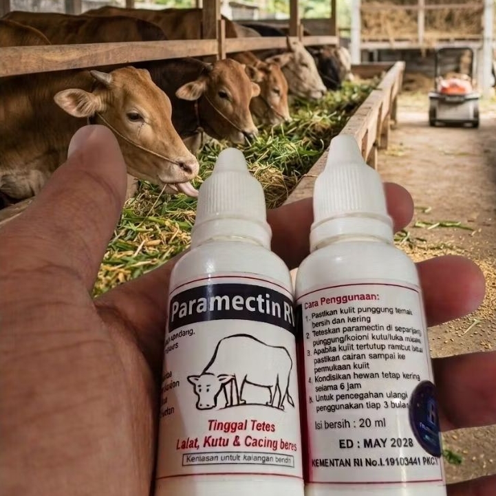 Paramectin RV Obat Kutu Scabies Caplak Sapi Kambing