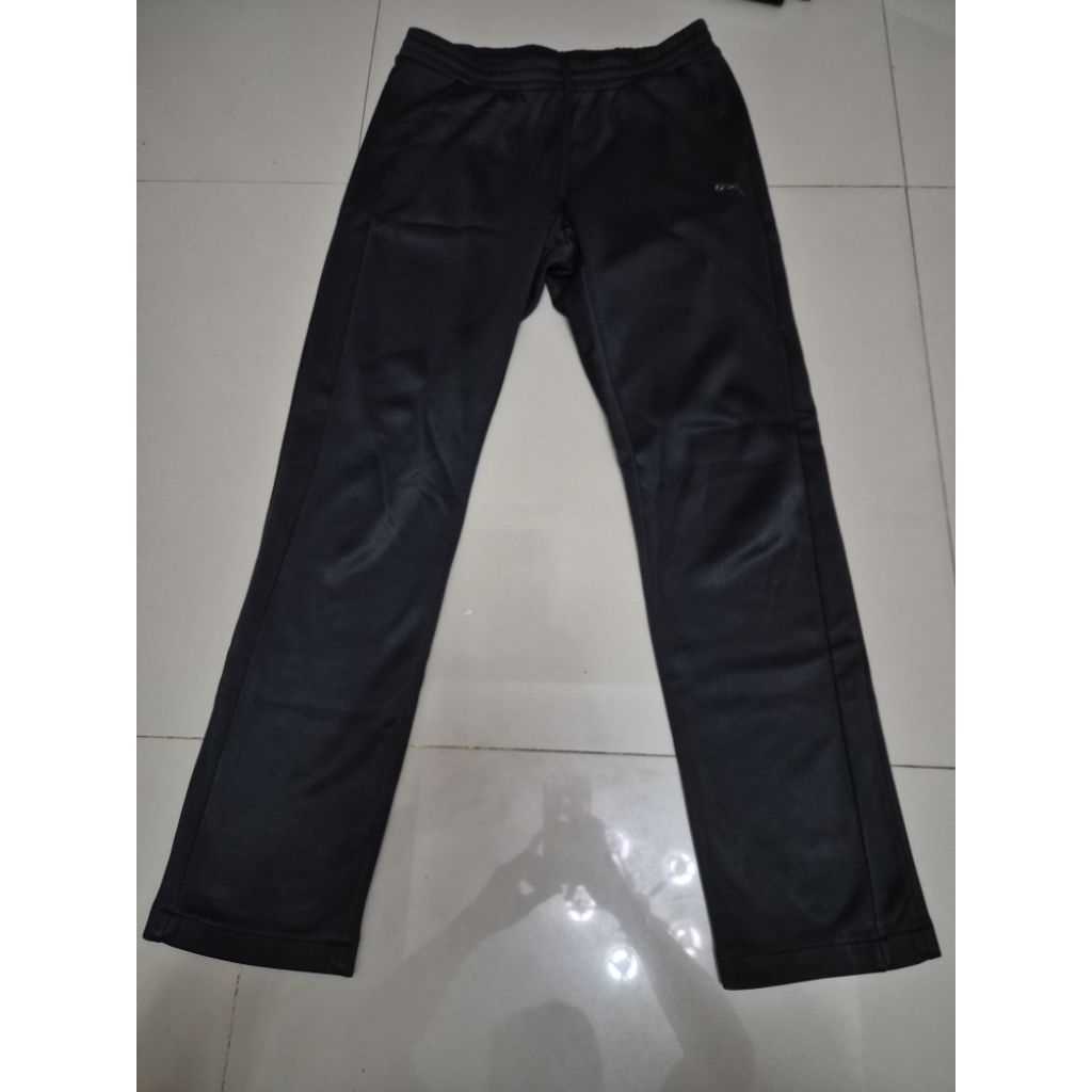 Kucing hitam
