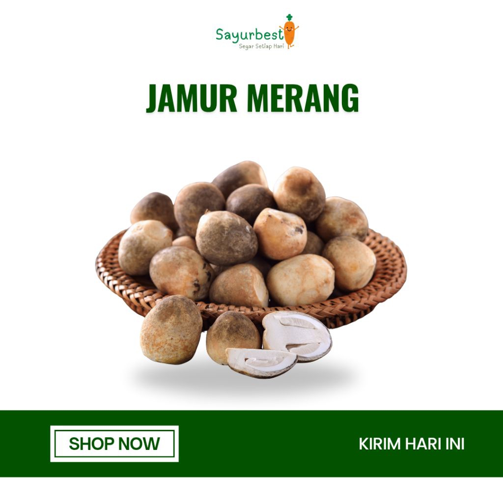 Jamur Merang