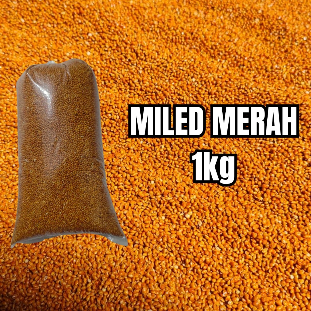 Miled/Milet Merah Bersih 1 Kg | Pakan Burung Berkualitas