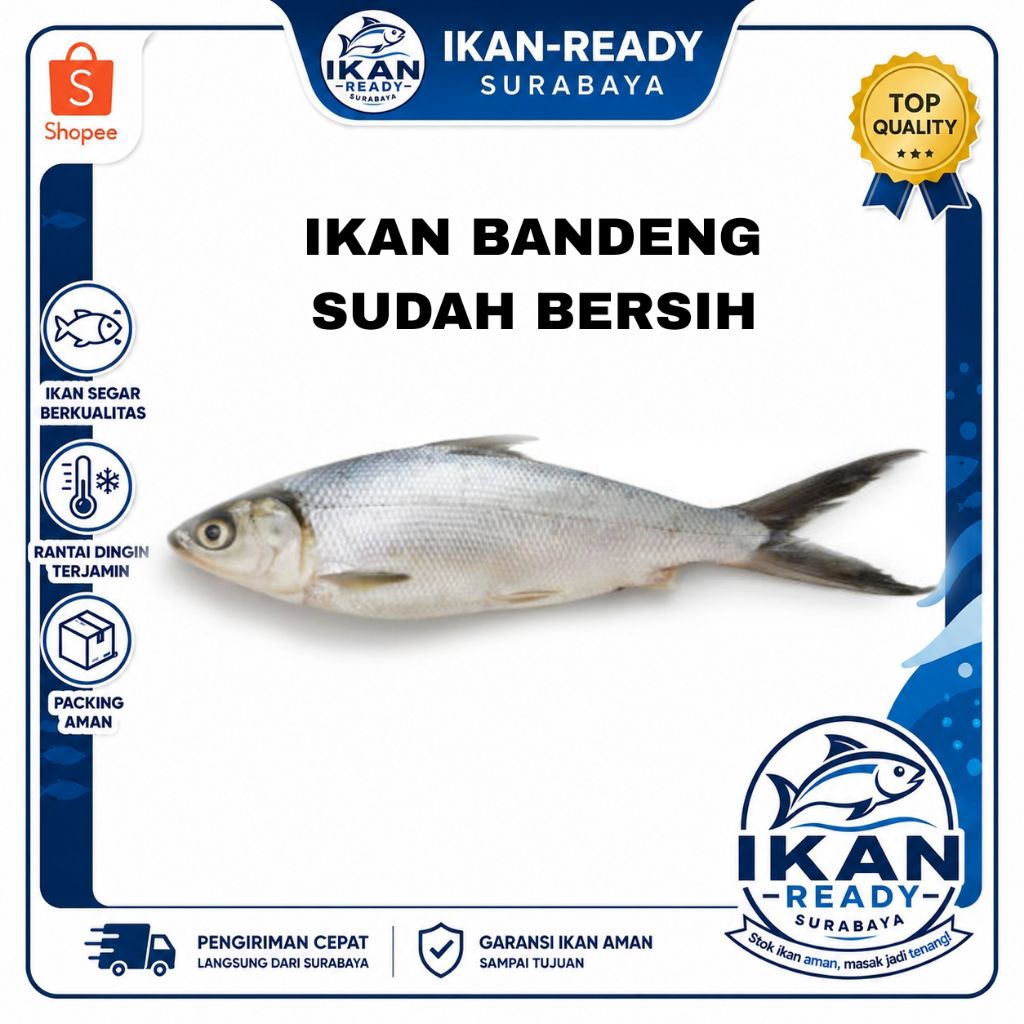 Ikan Bandeng Bersih | Bandeng Segar Siap Masak | Bandeng Fresh Tanpa Sisik & Isi Perut | Frozen Food