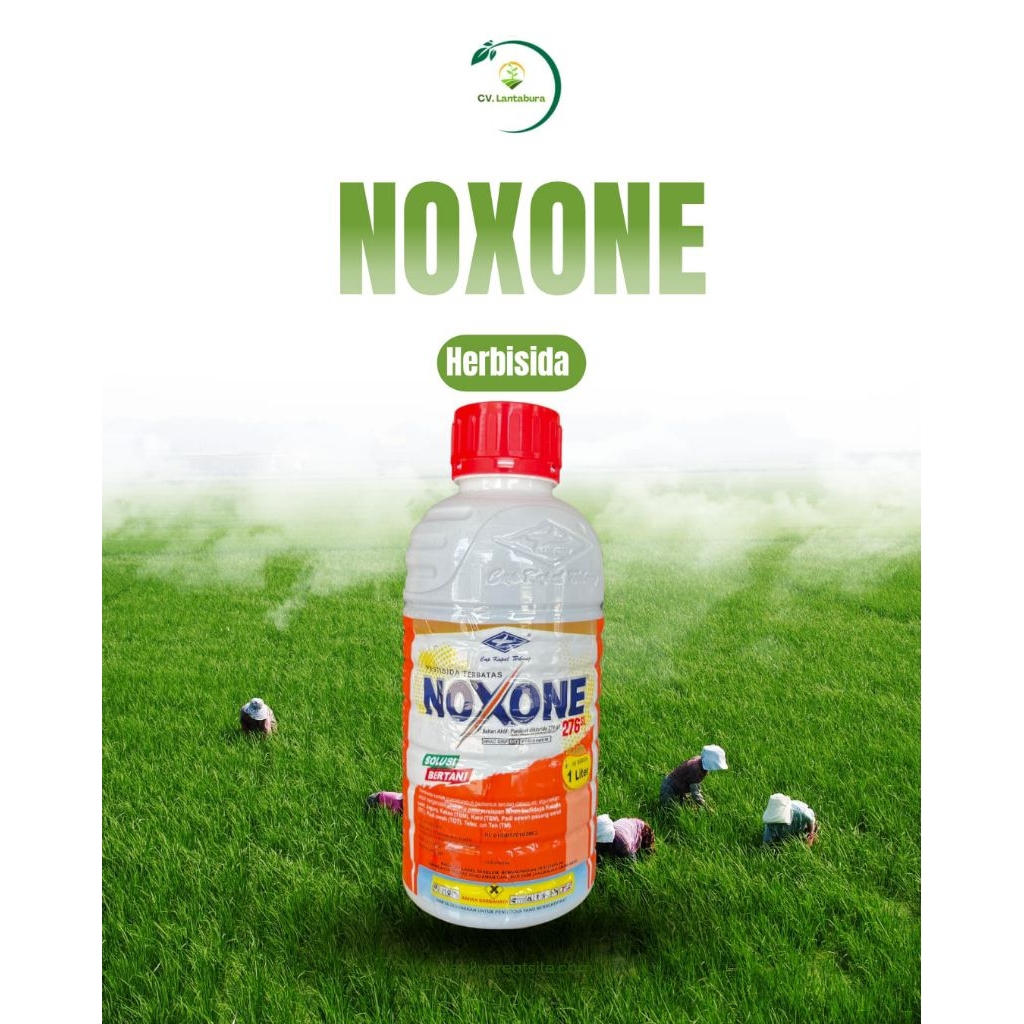 NOXONE 276 SL