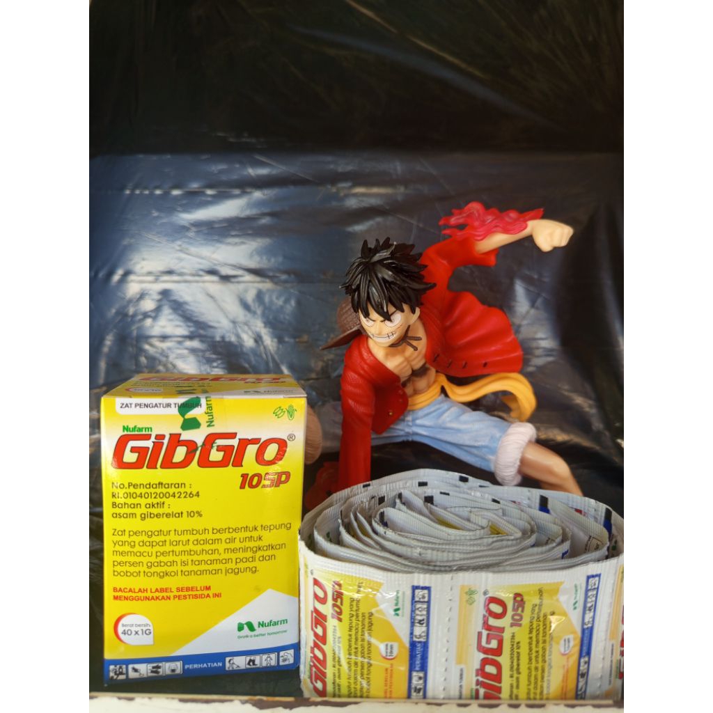 Gibgro 10sp