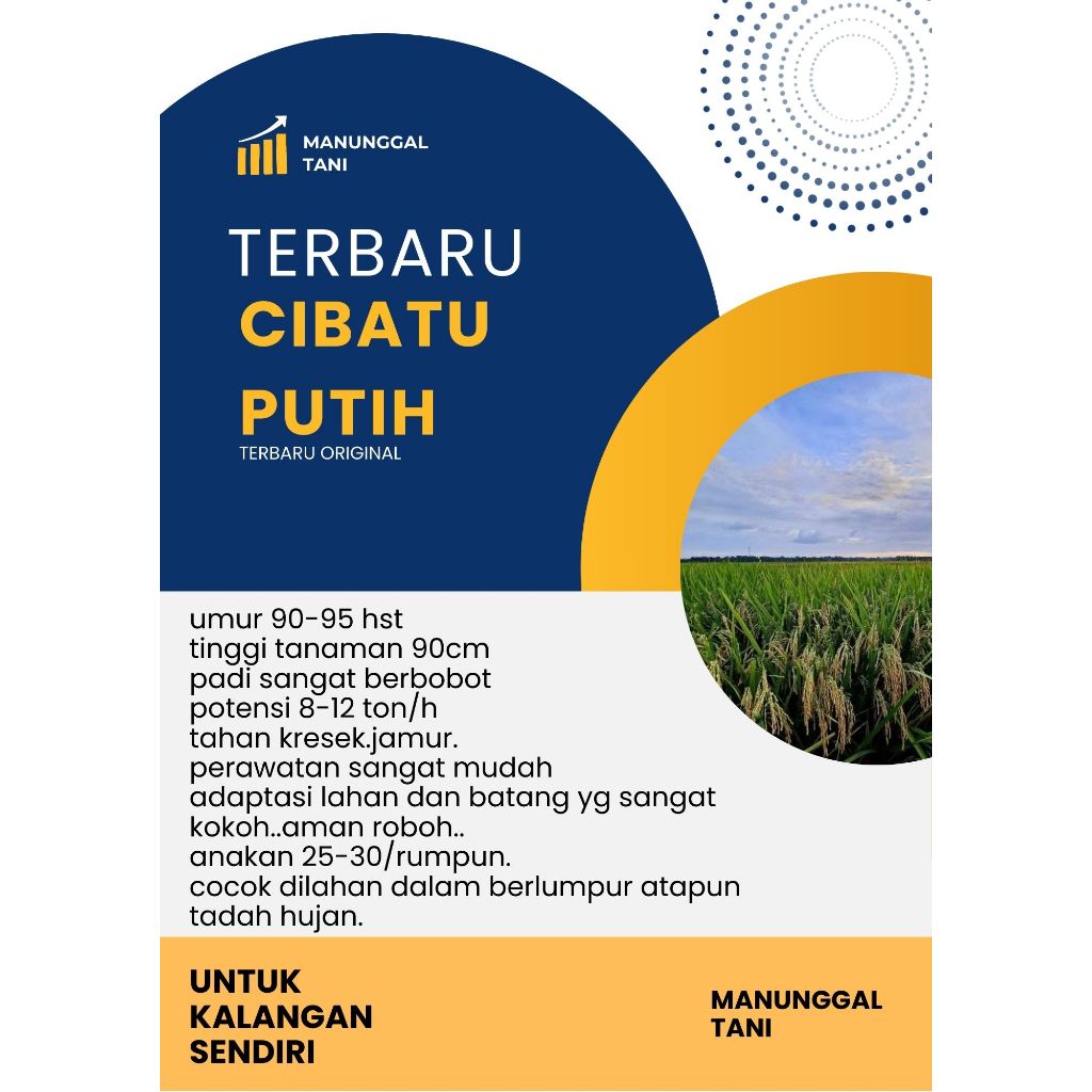 Padi CIBATU PUTIH Kemasan 5 Kg