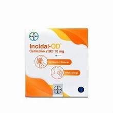 Incidal -Od Obat Alergi 4 Kapsul Gatal dan Alergi