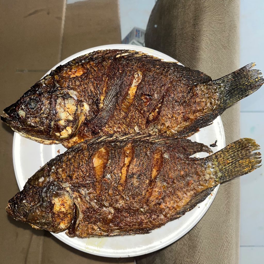 PO 1 HARI - Ikan Nila Sudah Digoreng | free sambal + lalapan