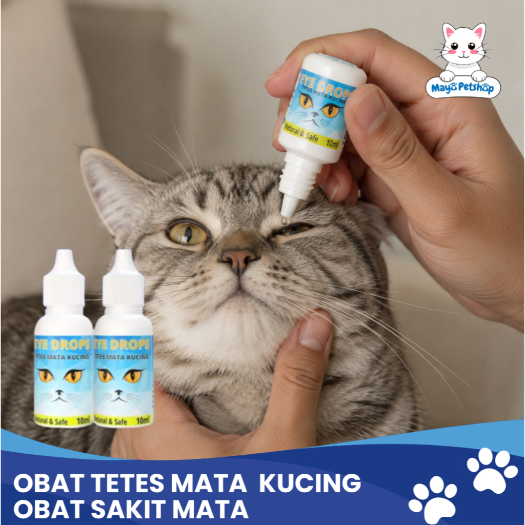 Obat Tetes Mata Kucing Obat Sakit Mata Kucing