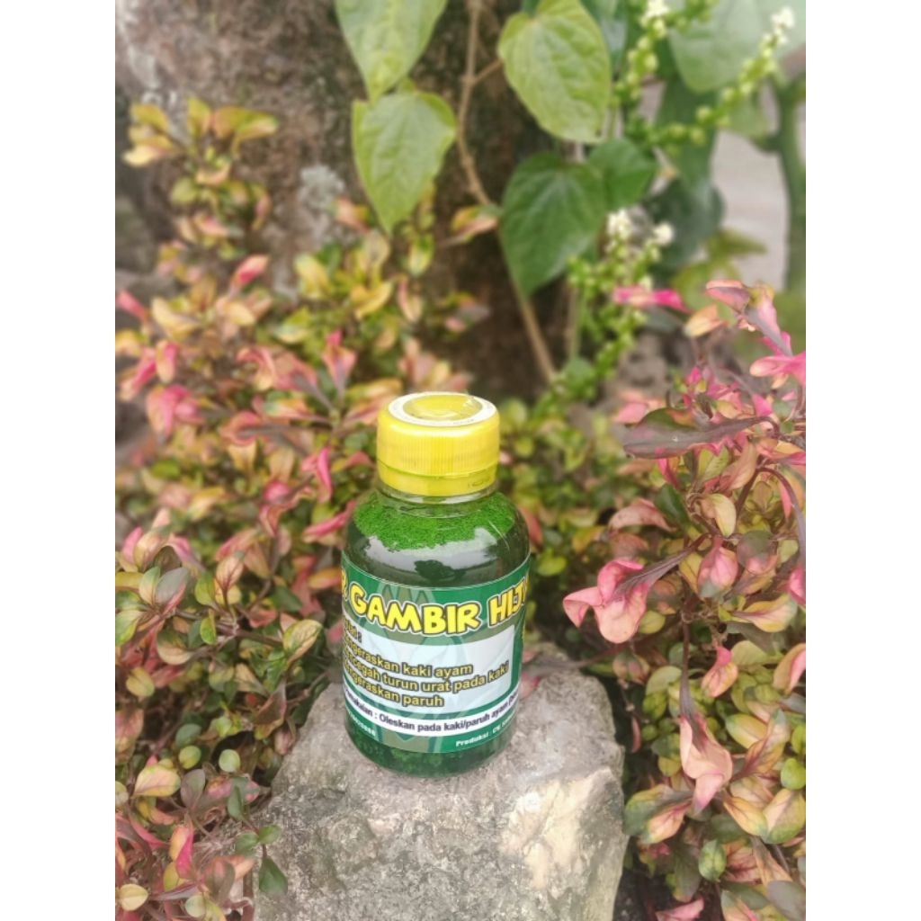 1 BOTOL GREEN GETAH GAMBIR HIJAU herbal pengeras sisik ayam aduan original