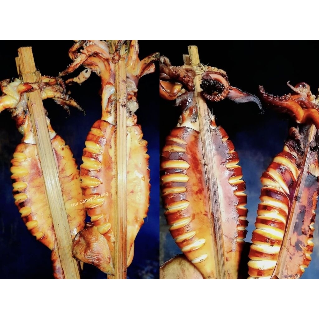Frozen Ikan Cumi Asap/Bakar MURAH