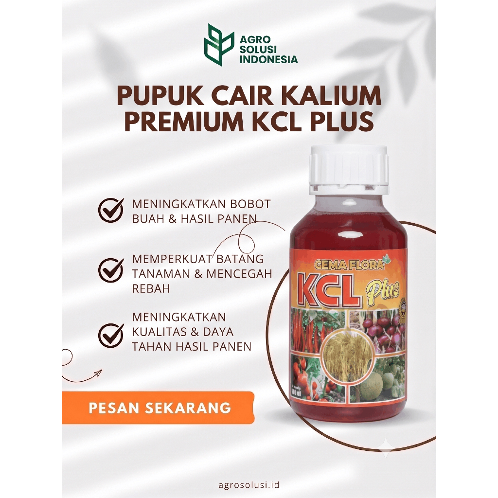 KCL Plus Gema Flora Pengisi Bulir dan Buah