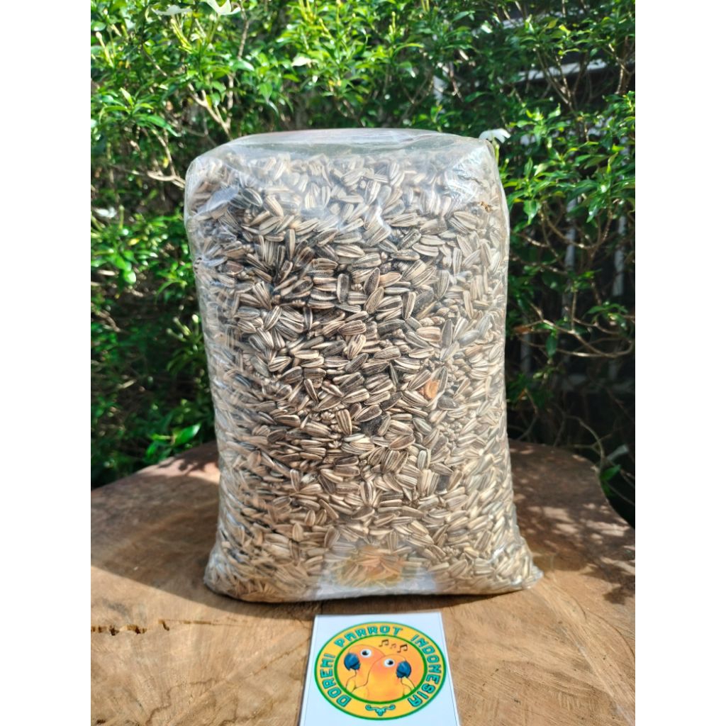 1 KG KUACI Non SANGRAI KWACI SUNFLOWER BIJI BUNGA MATAHARI HAMSTER BURUNG IMPORT