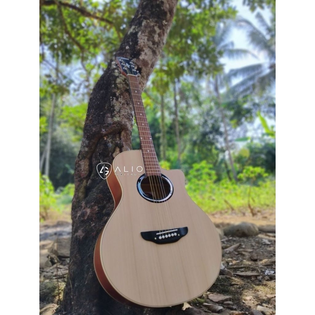 Gitar Yamaha Apx500ii