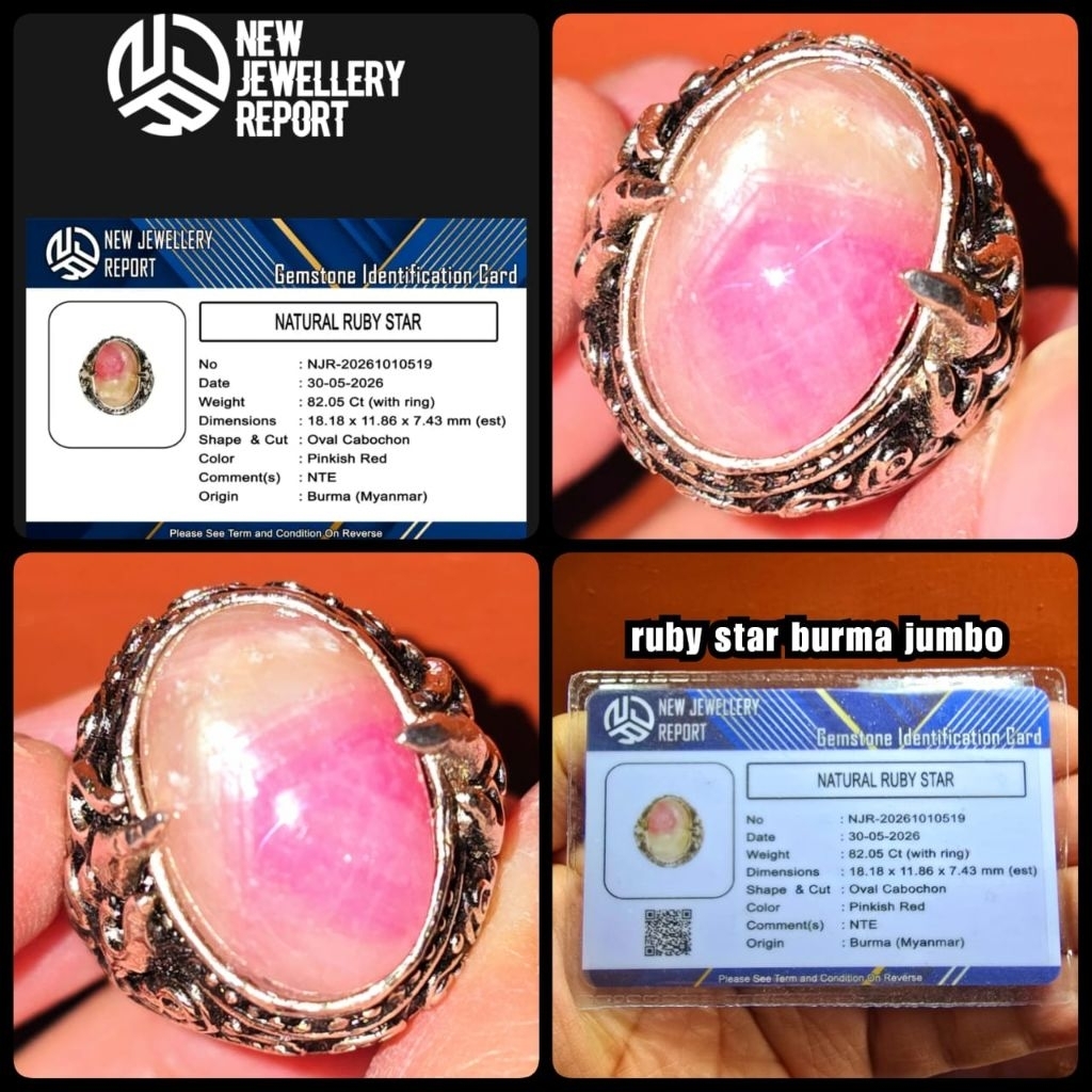 Ruby belang koi star asli Burma Myanmar jumbo
