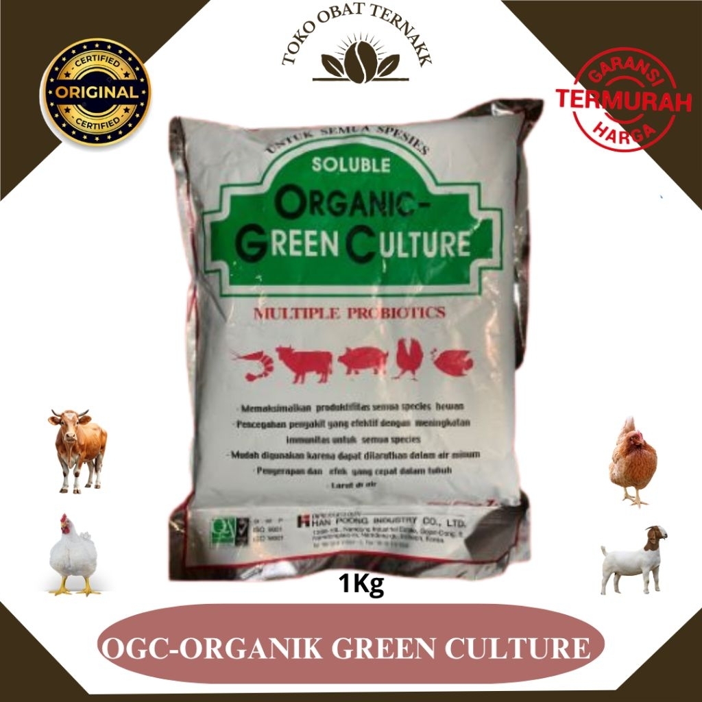 ORGANIC GREEN CULTURE (OGC) ZS 1 KG PROBIOTIK HIGH CONCENTRATE AYAM SAPI