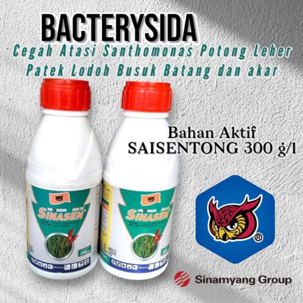 BACTERYSIDA SINASEN 300SL 250ML