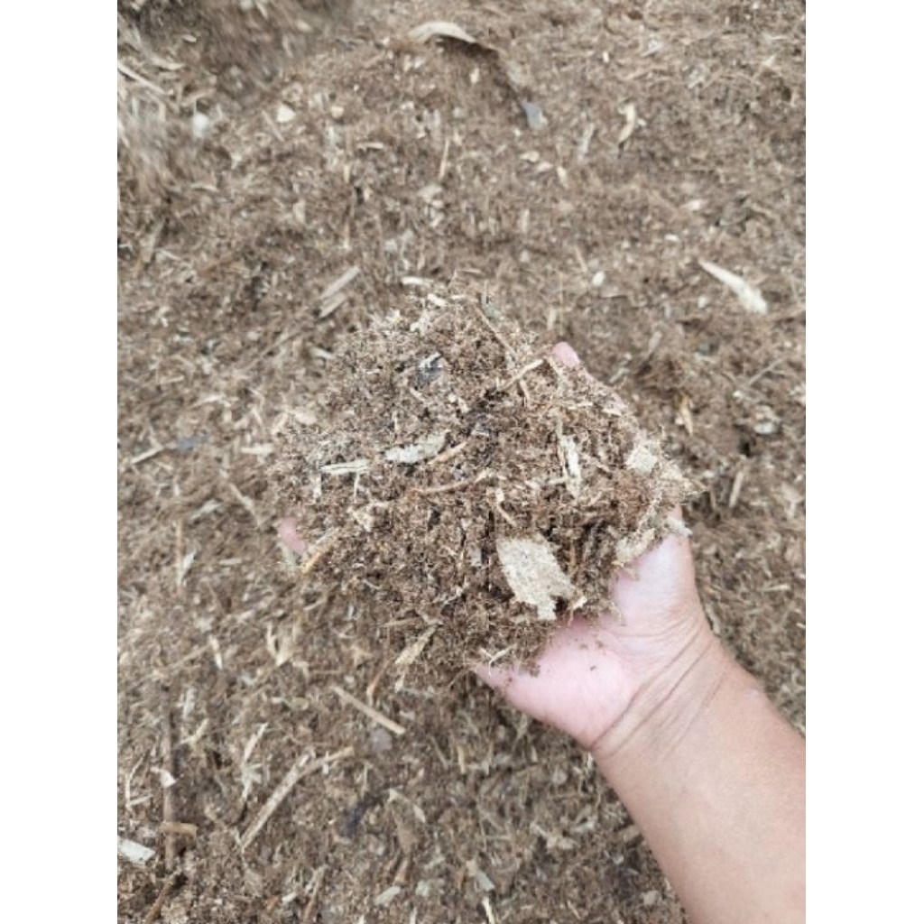 humus Bambu