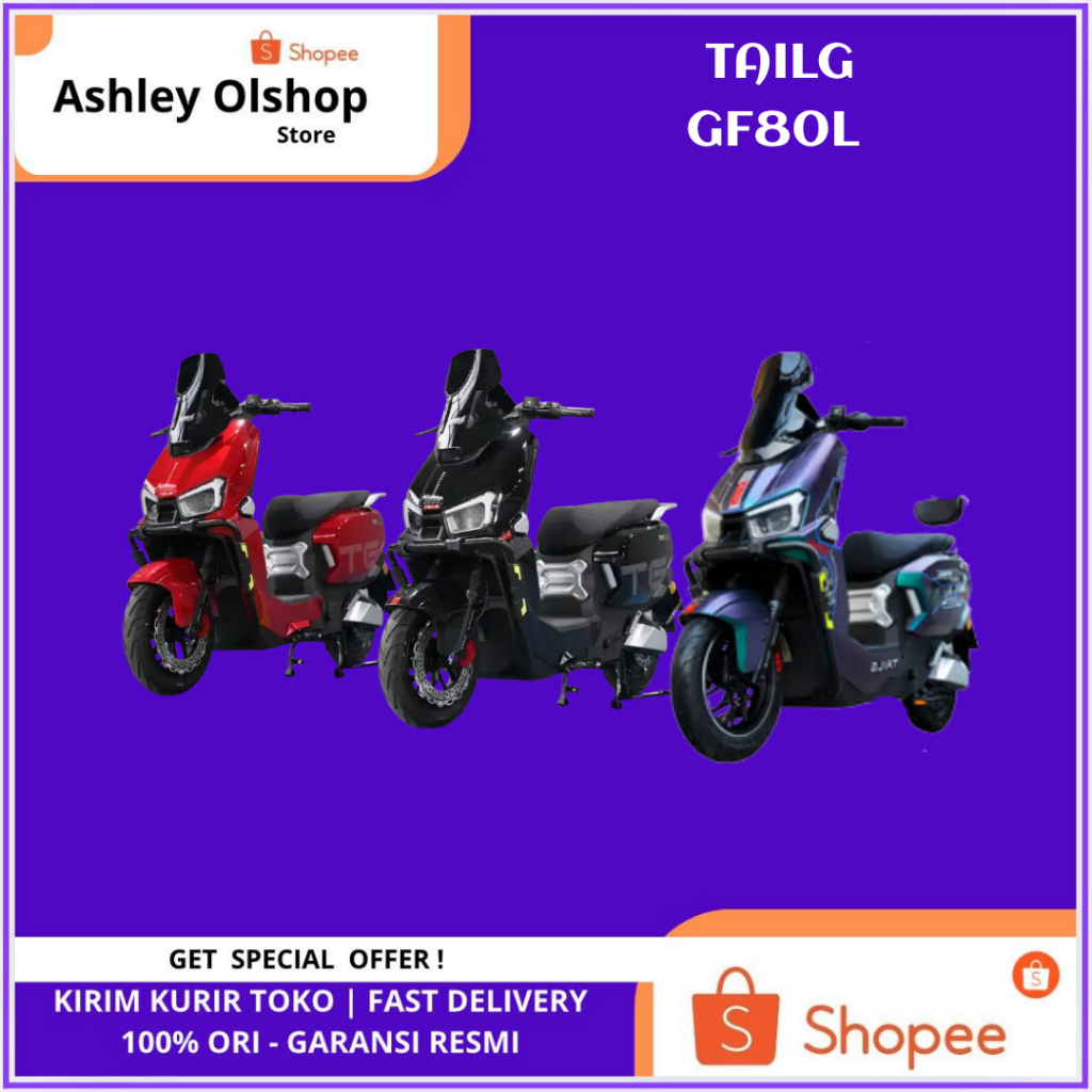 TAILG Sepeda Listrik GF80L Power 800 Watt Selis Lithium 48V/24Ah TAILG GF80L