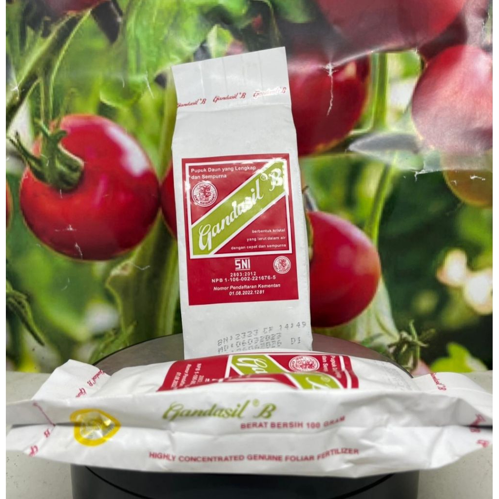 Pupuk Bunga Buah Gandasil B 100Gr