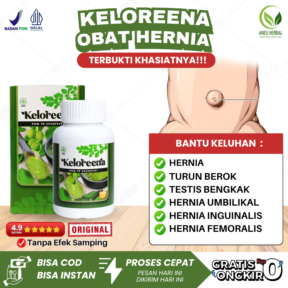 Keloreena Obat Hernia Testis Bengkak Turun Berok Hernia Anak Pria Dewasa Hernia Umbilikal Hernia Ing