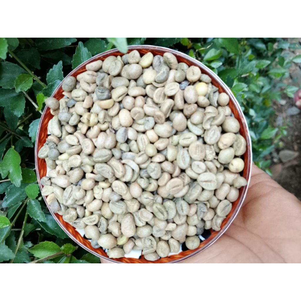 kop robusta WINE/ 1kg kopi Wine