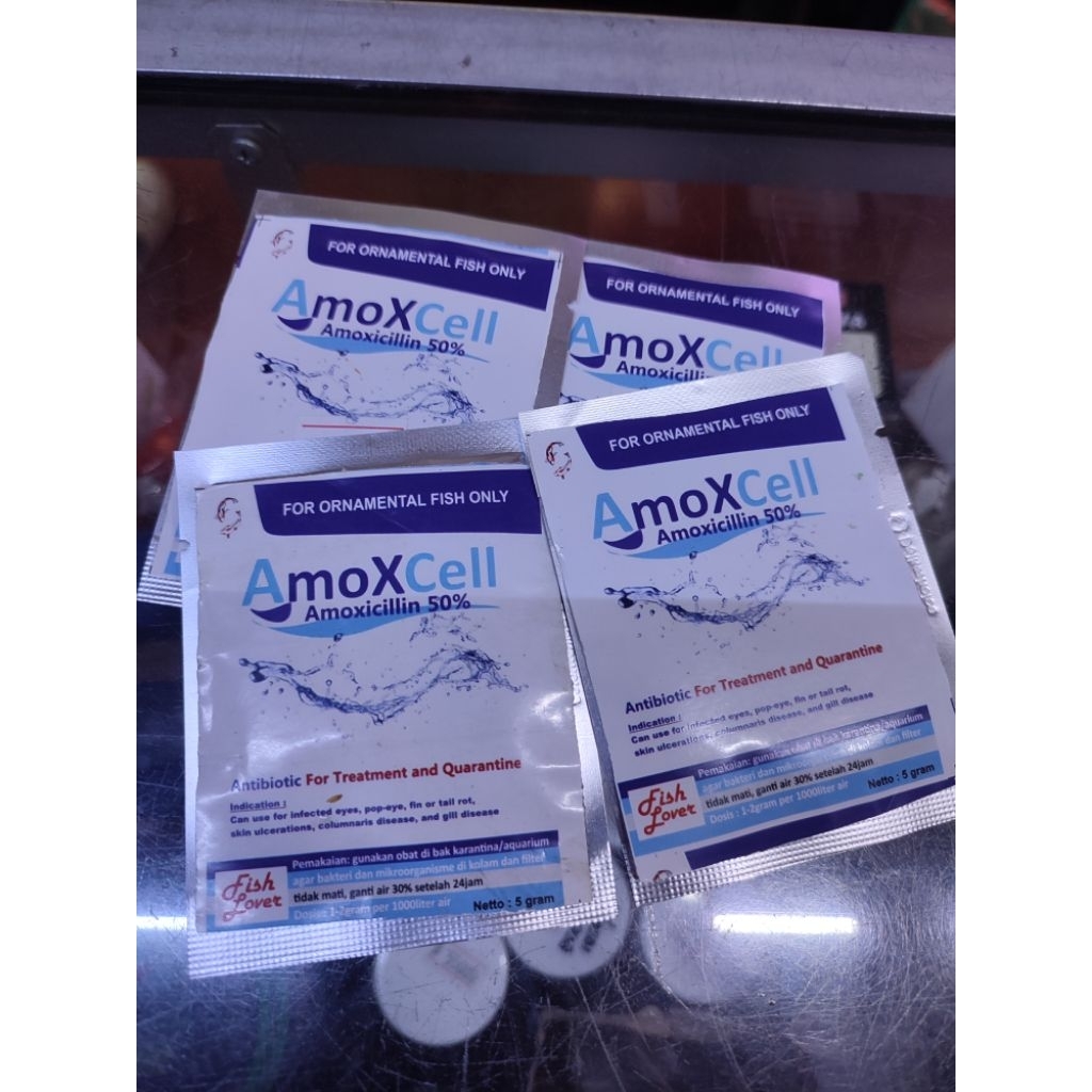 Amoxcell Amoxicillin 50% antibiotik