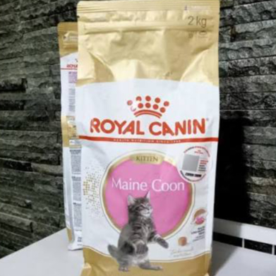 Royal Canin Kitten Mainecoon 2Kg Mainecoon Kitten 2kg