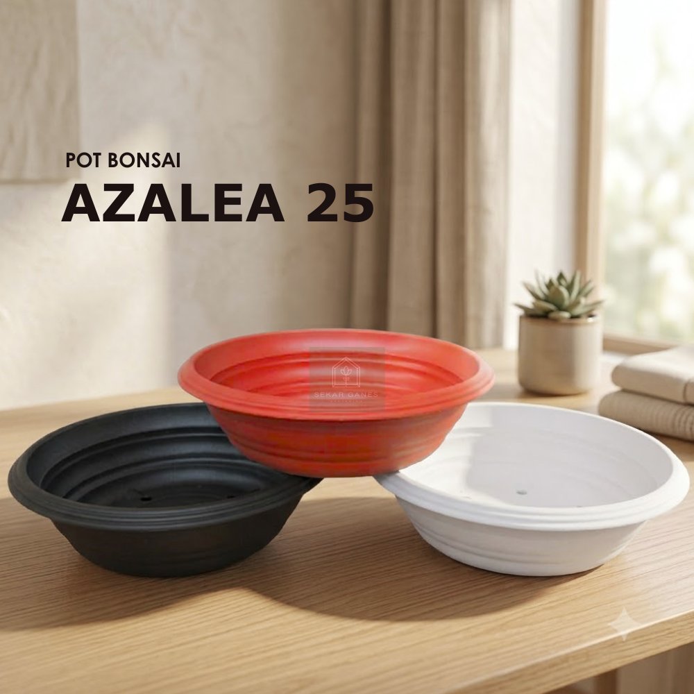 POT BONSAI AZALEA 25 CM POT BONSAI TAWON CEPER PLASTIK utk BONSAI KELAPA bkn POT BONSAI KERAMIK MAME